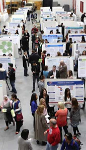Research week poster displays