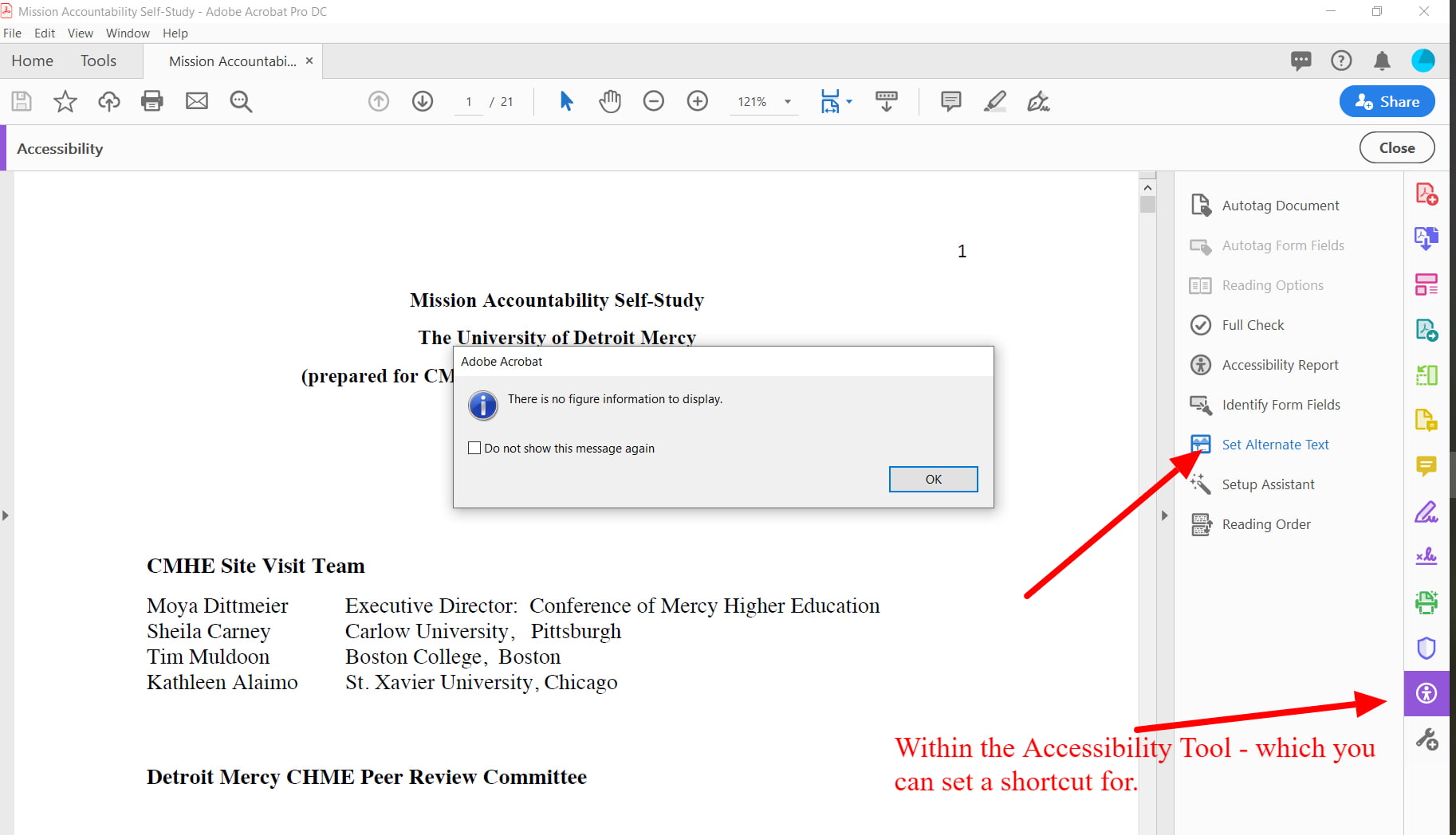 in Accessibility Tool mneu, select alt text and cycle through all images in the set alt text window and add descriptive text