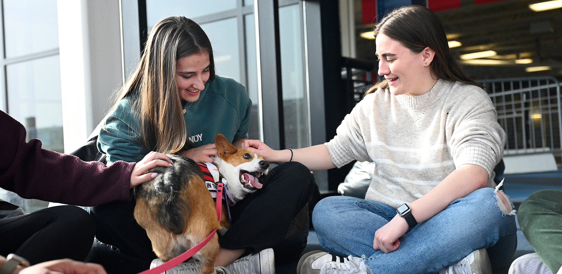 Two students pet a therapy dog during a student event.