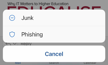 iPhone phishing menu