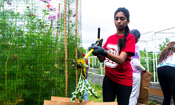 Students work in a community garden.