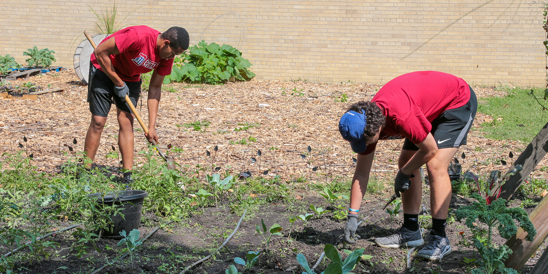 Two students work on clearing weeds and growth from a garden during PTV.