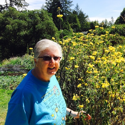 One person stand outdoors in front of a field of yellow flowers.