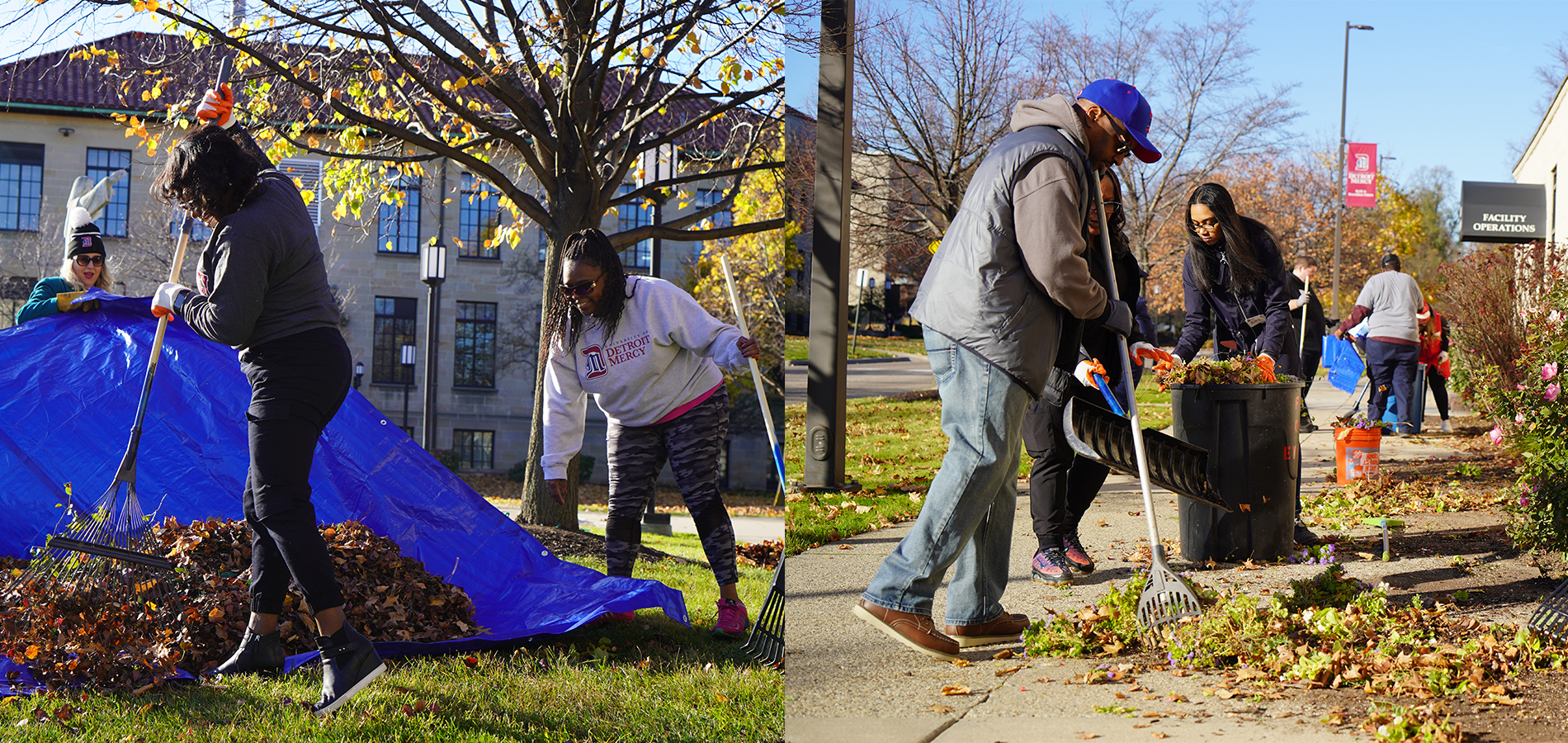 Titan staff and faculty rake leaves and pull weeds outdoors on the McNichols Campus during a clean-up event.