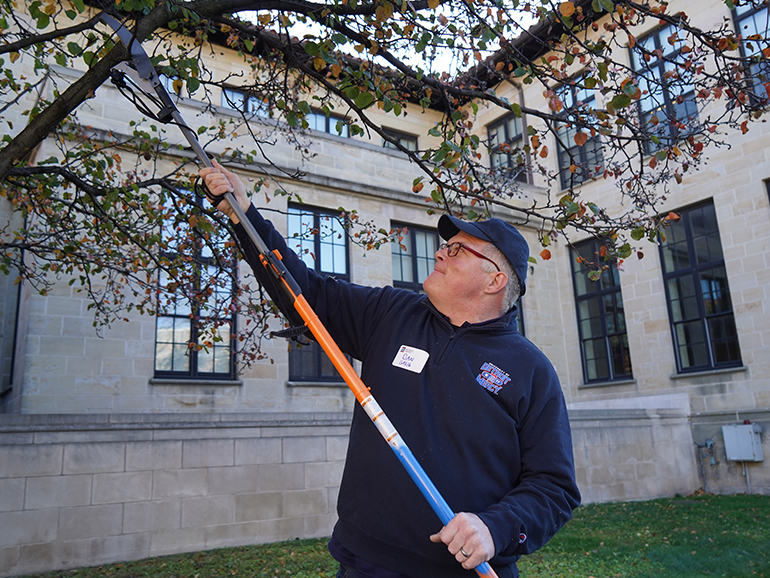 A man trims a tree outside of a building on the McNichols Campus.