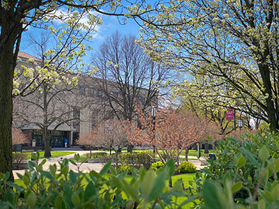 A photo of Detroit Mercy's McNichols Campus with foliage present from trees and plants.