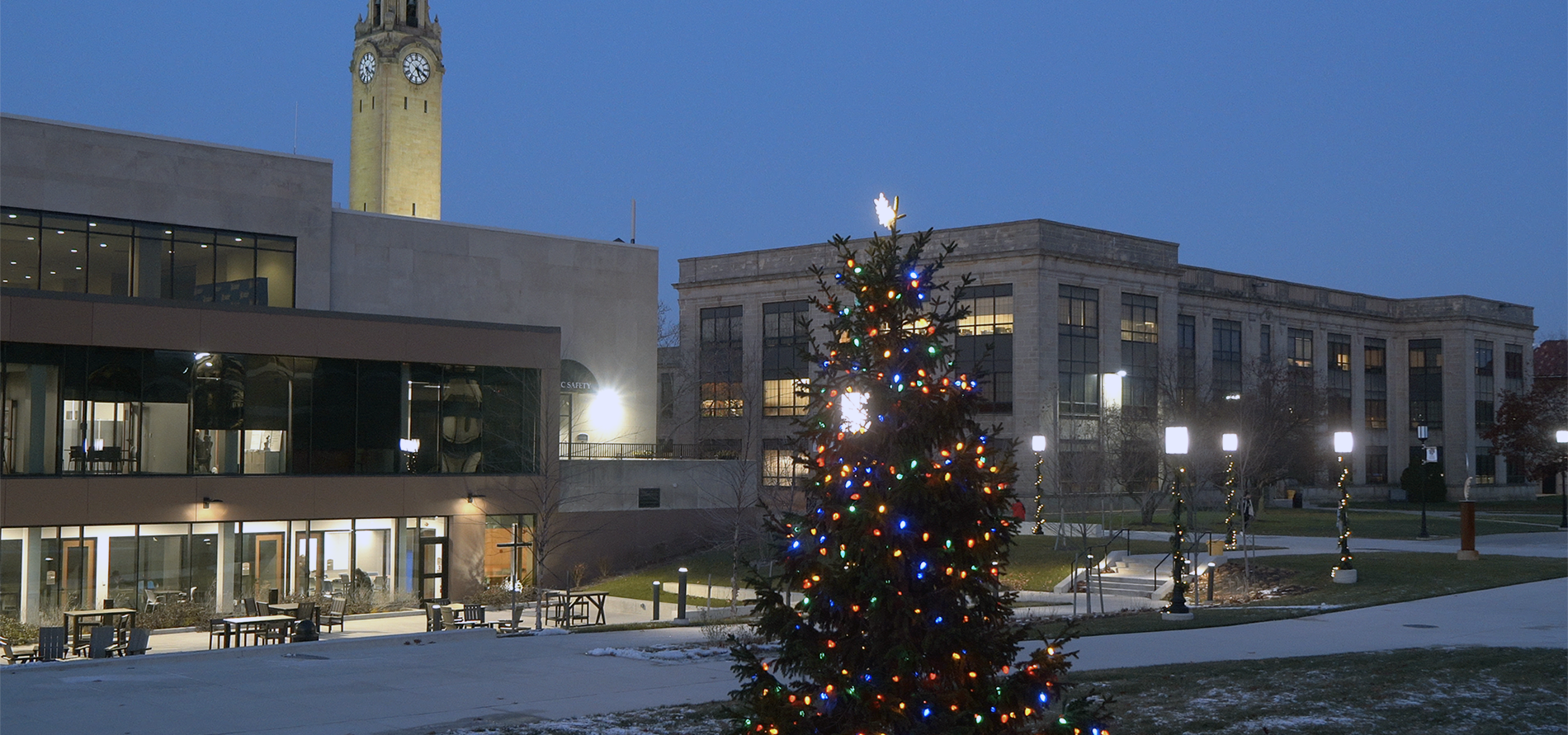 A fern tree on the McNichols Campus is covered in Christmas lights. The Student Union, Engineering Building and Clocktower are visible in the background.