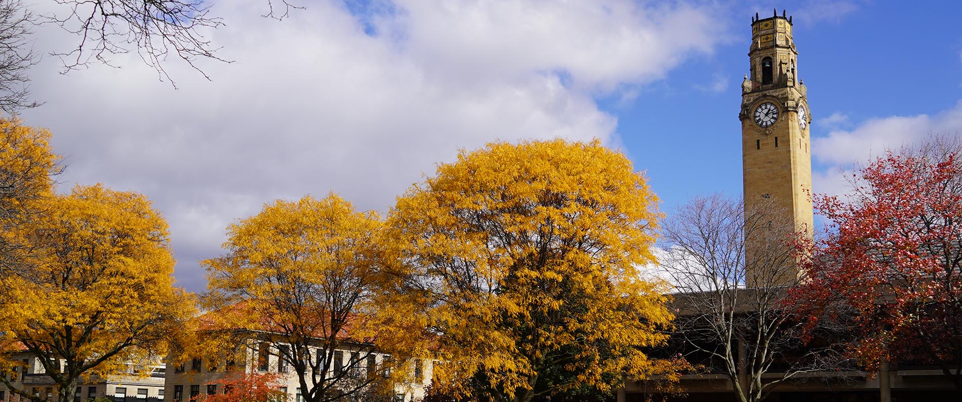 The McNichols Campus clocktower and several trees of various colors during the fall.