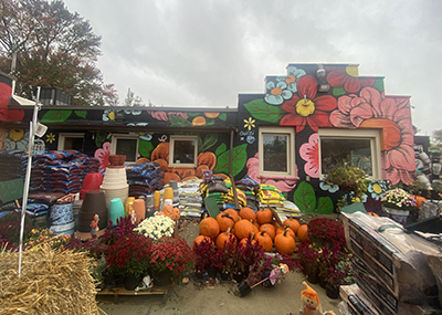 photo of tina castleberry's the garden bug gardening center.