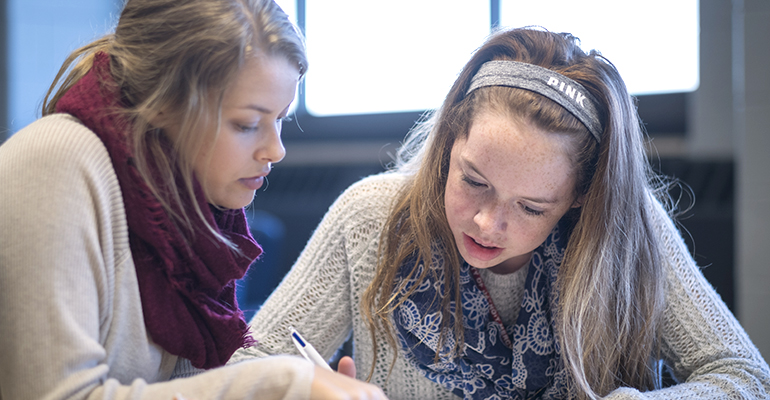 two students studying