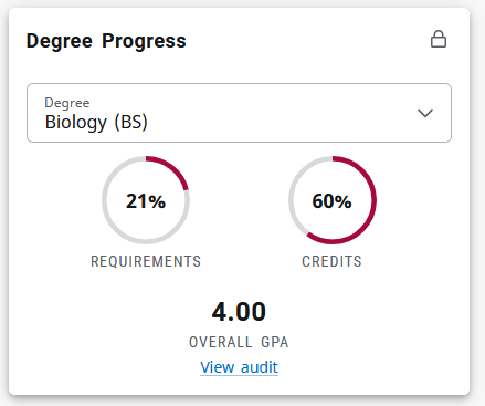 Sample Degree Works display card