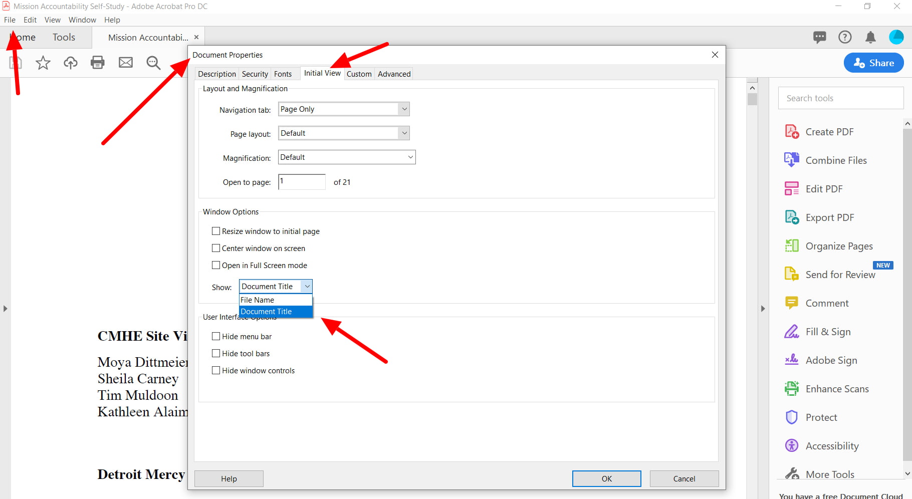 Choose document title for the initial view in the Windows Options section of hte Properties window