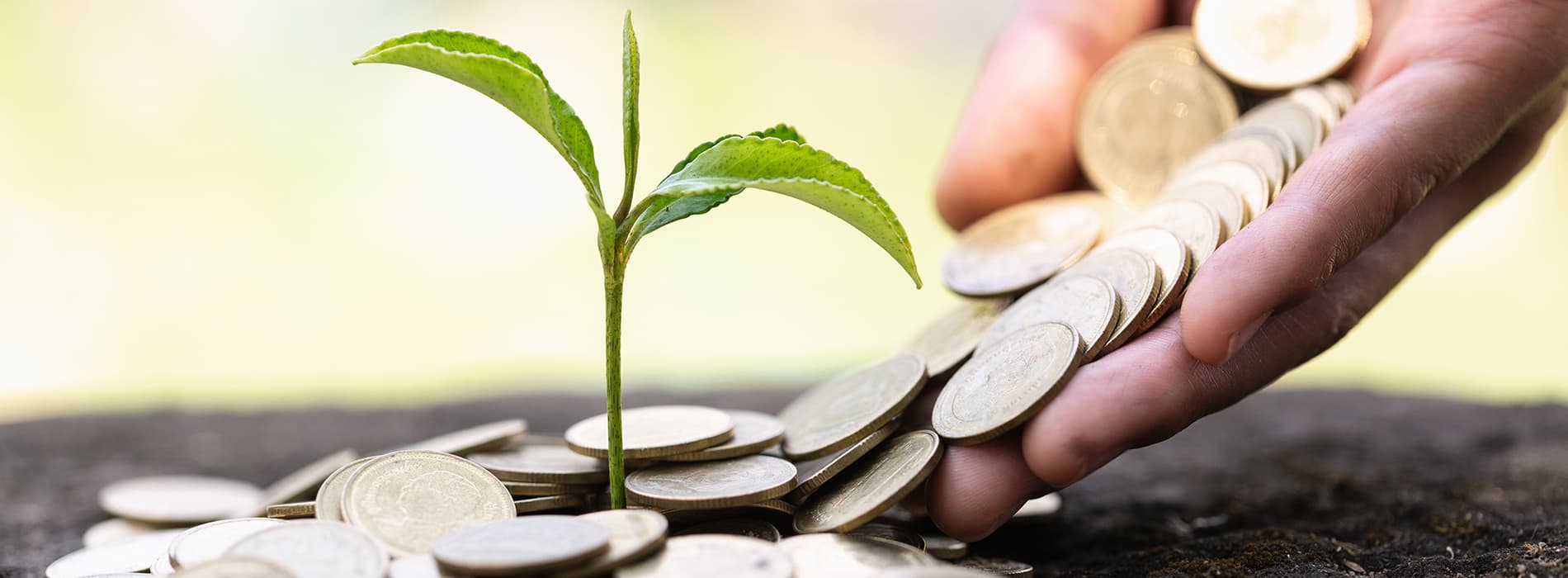 hand pouring coins like dirt around a seedling