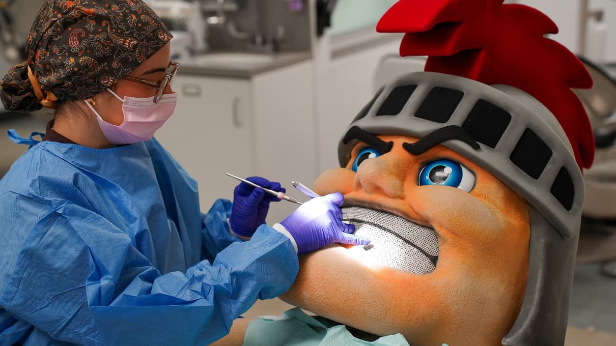 A dental student examines Tommy Titan's teeth.